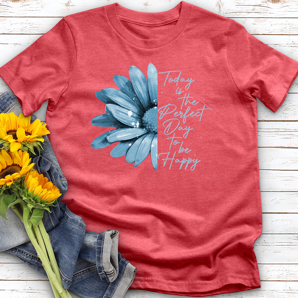 Today is The Perfect Day Softstyle Tee
