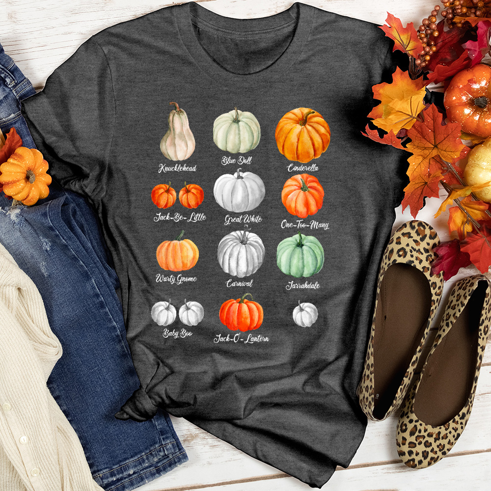 Pumpkin Types Heathered Tee