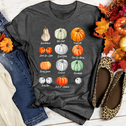 Pumpkin Types Heathered Tee